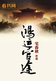 鸿运官途阅读