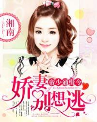 帝少娇宠妻