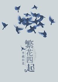 繁花四起内容
