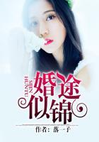 婚途似锦全文免费阅读袖刀