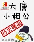 大唐小相公阅读
