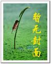 天价婚约百度百科