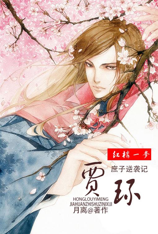 贾环的红楼之梦