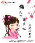 桃夭经历