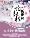 论红楼的倒掉讲什么