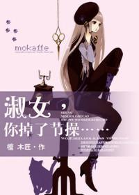 淑女你掉了节操檀木匠