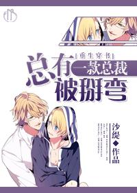 总有一款总裁适合你晋江