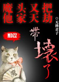 魔头他又被捉去做道侣了