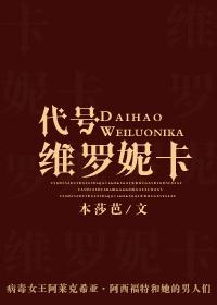 代号维罗妮卡完全版攻略