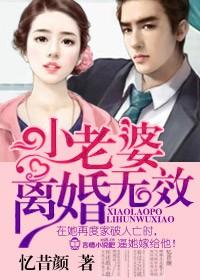 老婆离婚无效苏婉年全文免费阅读