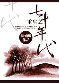 重生之七十年代蜕变