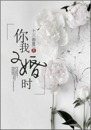 二婚时代