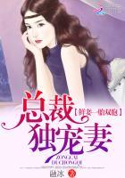 一胎双宝总裁娶妻套路深