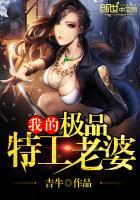 我的极品老婆女主是谁演的