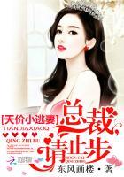 天价小逃妻总裁请止步免费阅读全文
