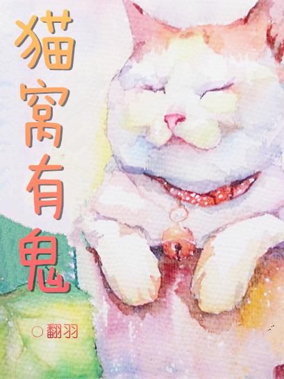 猫窝里面